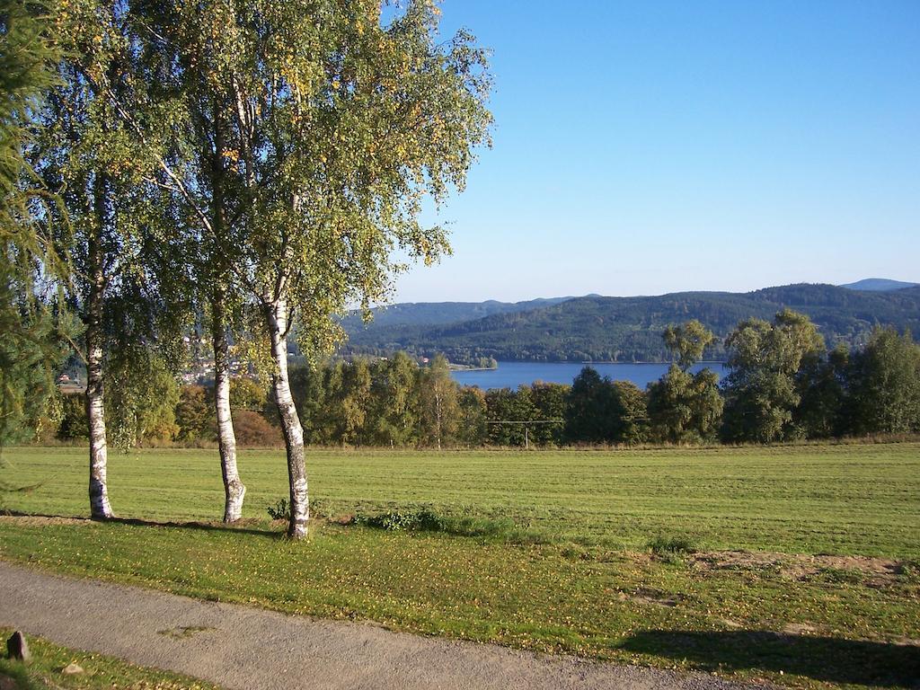 Chata Ostruzina 10+2 Lipno nad Vltavou Bagian luar foto